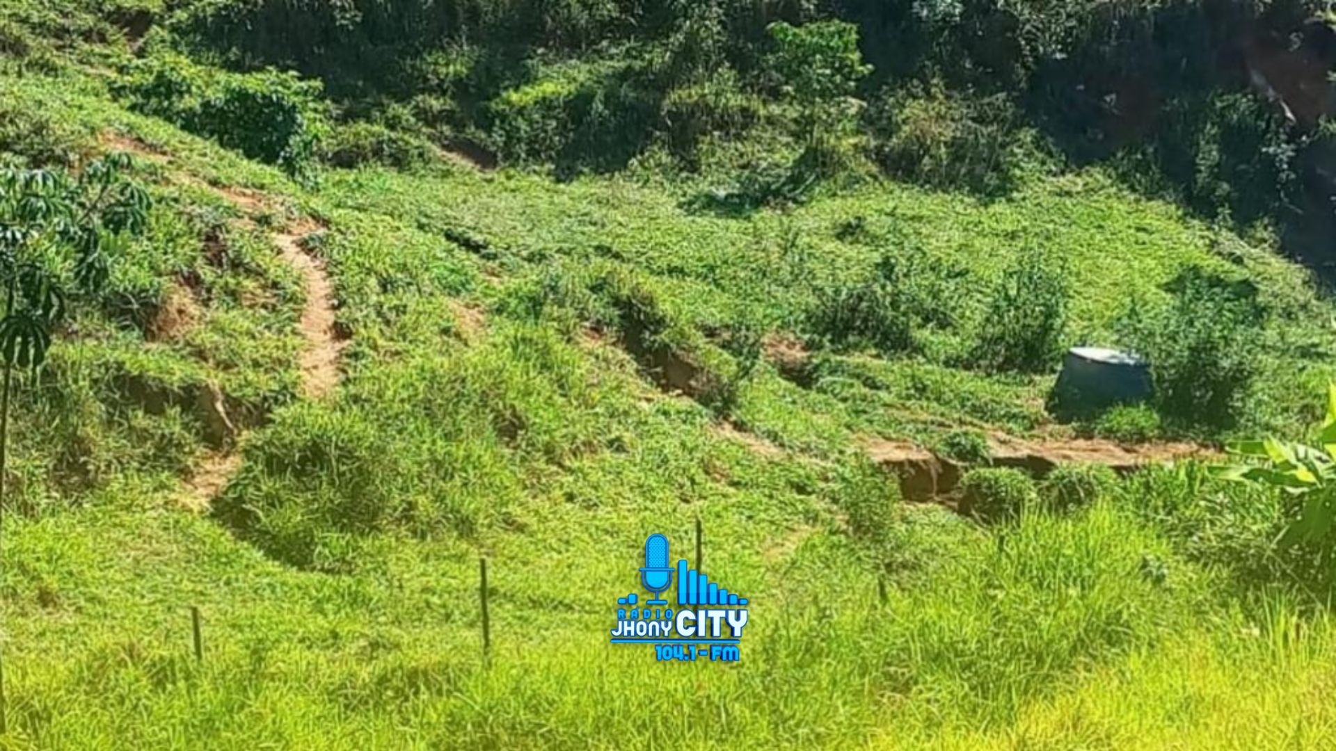 Ambientalistas trabalham na recomposição vegetal de área de nascente no bairro Recanto, em Ipatinga